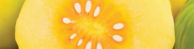 Garcinia Cambogia fruit